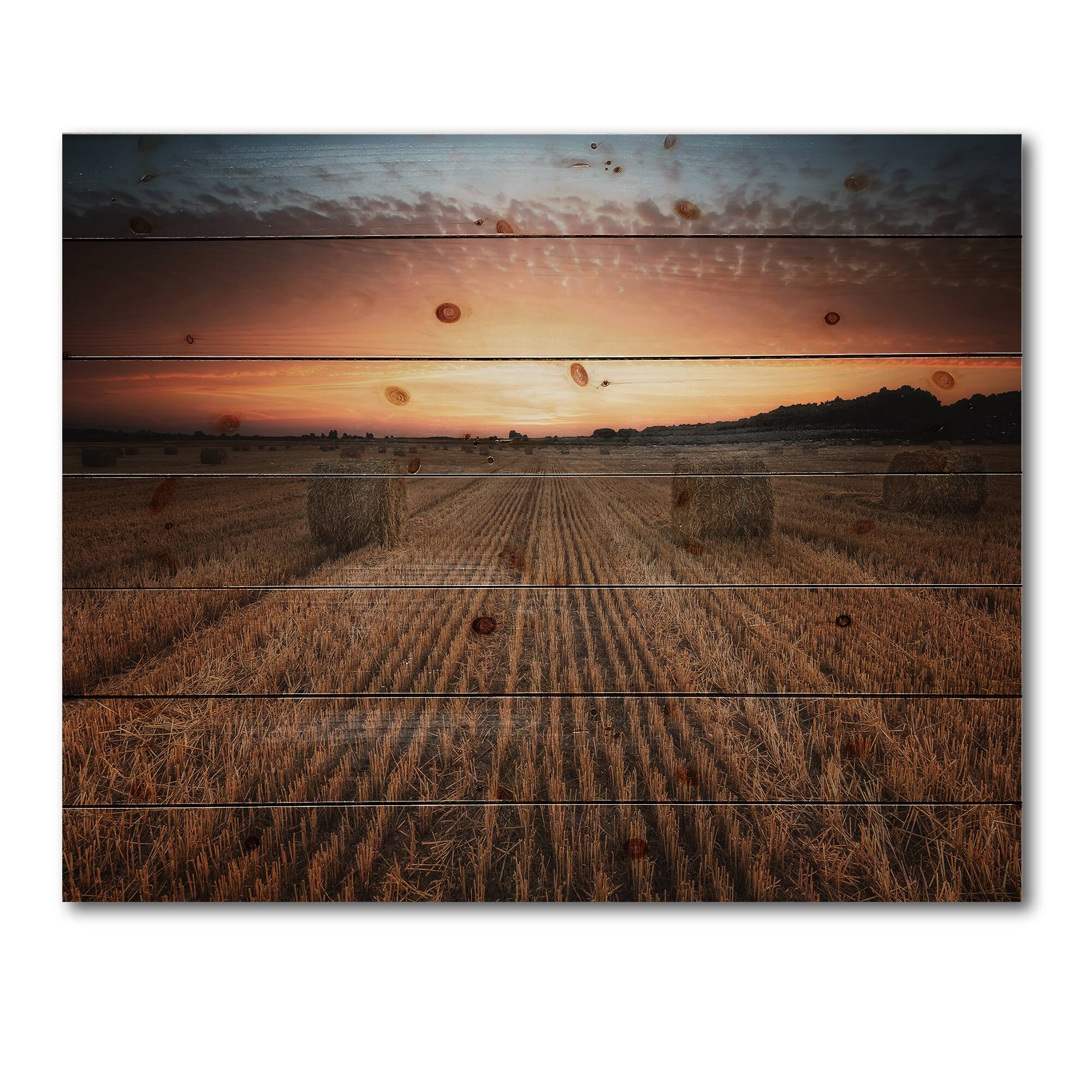 Designart - Landscape With A Field Full of Hay Bales At Sunset